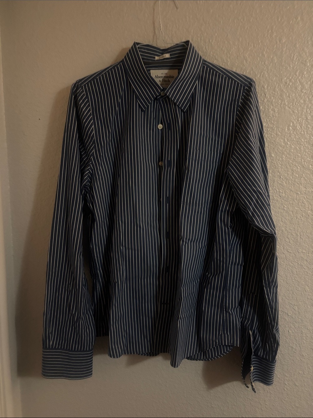 Abercrombie & Fitch Blue and White Pinstripe Dress Shirt